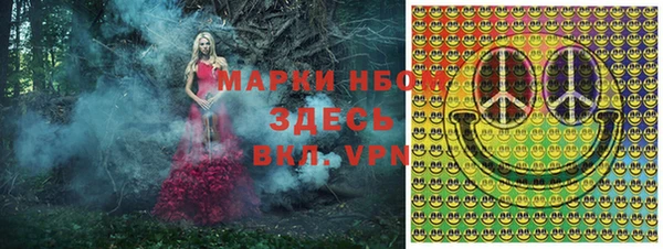 прущие грибы Михайловка
