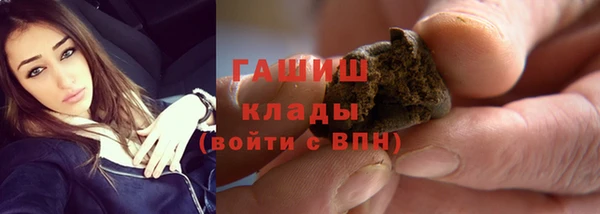 прущие грибы Михайловка