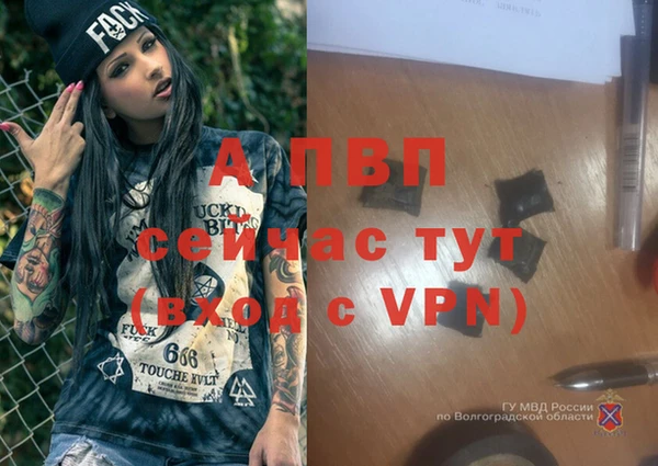 стаф Михайлов