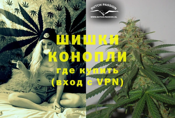 прущие грибы Михайловка